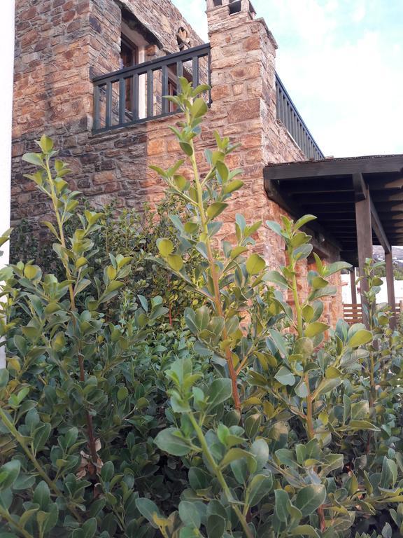 Ferienwohnung Althea Archontika Tis Androu Batsi Exterior foto
